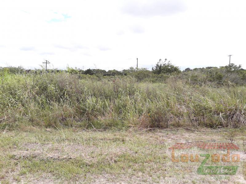 Terreno, 250 m² - Foto 2