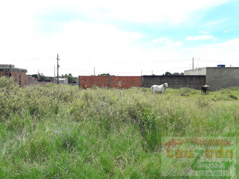 Terreno, 250 m² - Foto 1