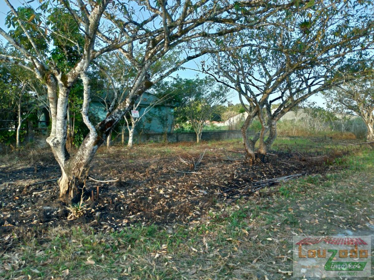 Terreno, 252 m² - Foto 6