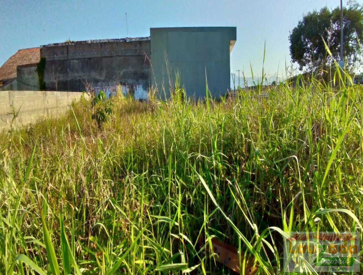 Terreno, 291 m² - Foto 2