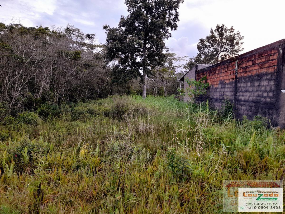 Terreno à venda, 250m² - Foto 2
