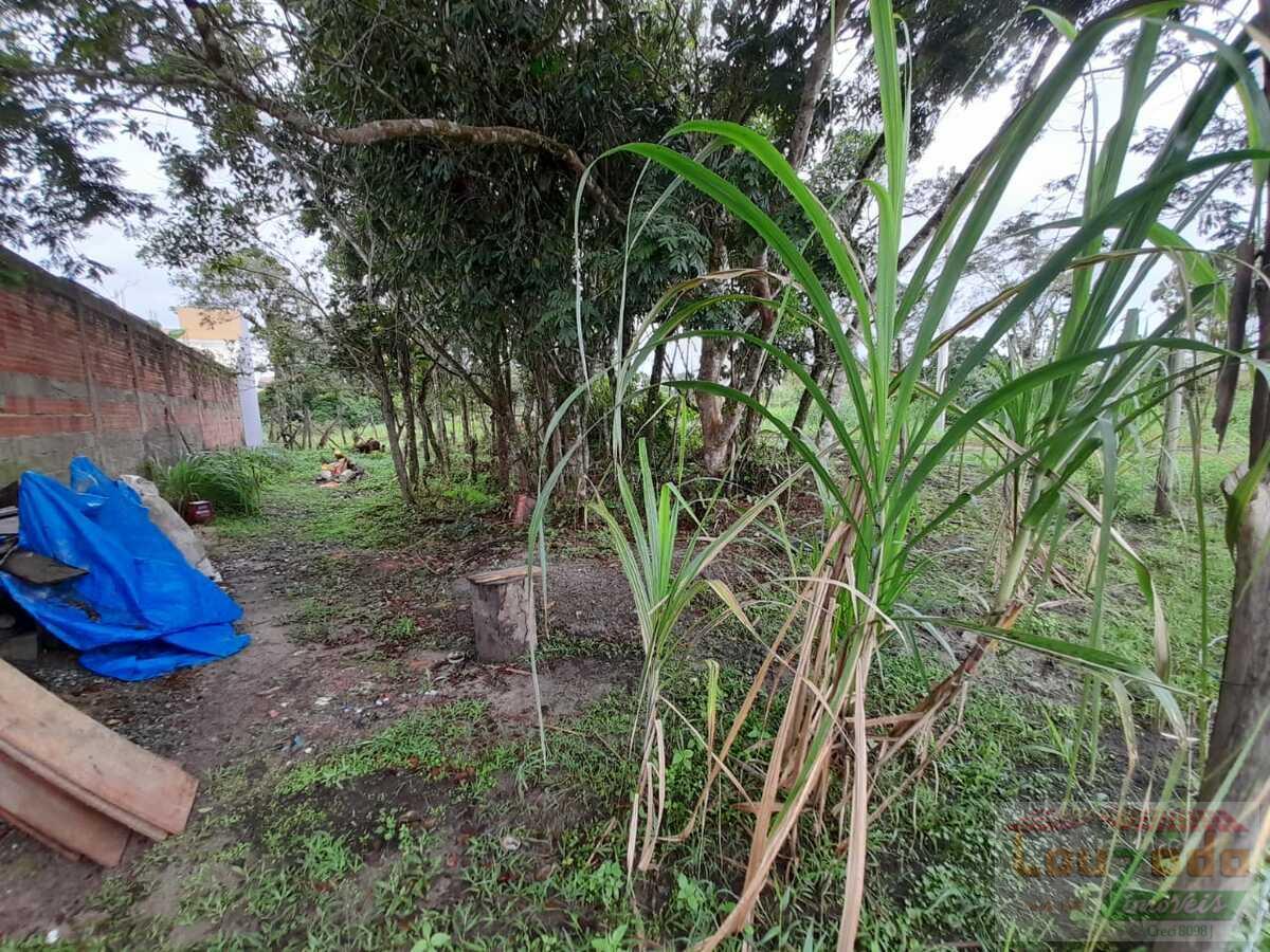 Terreno, 300 m² - Foto 2