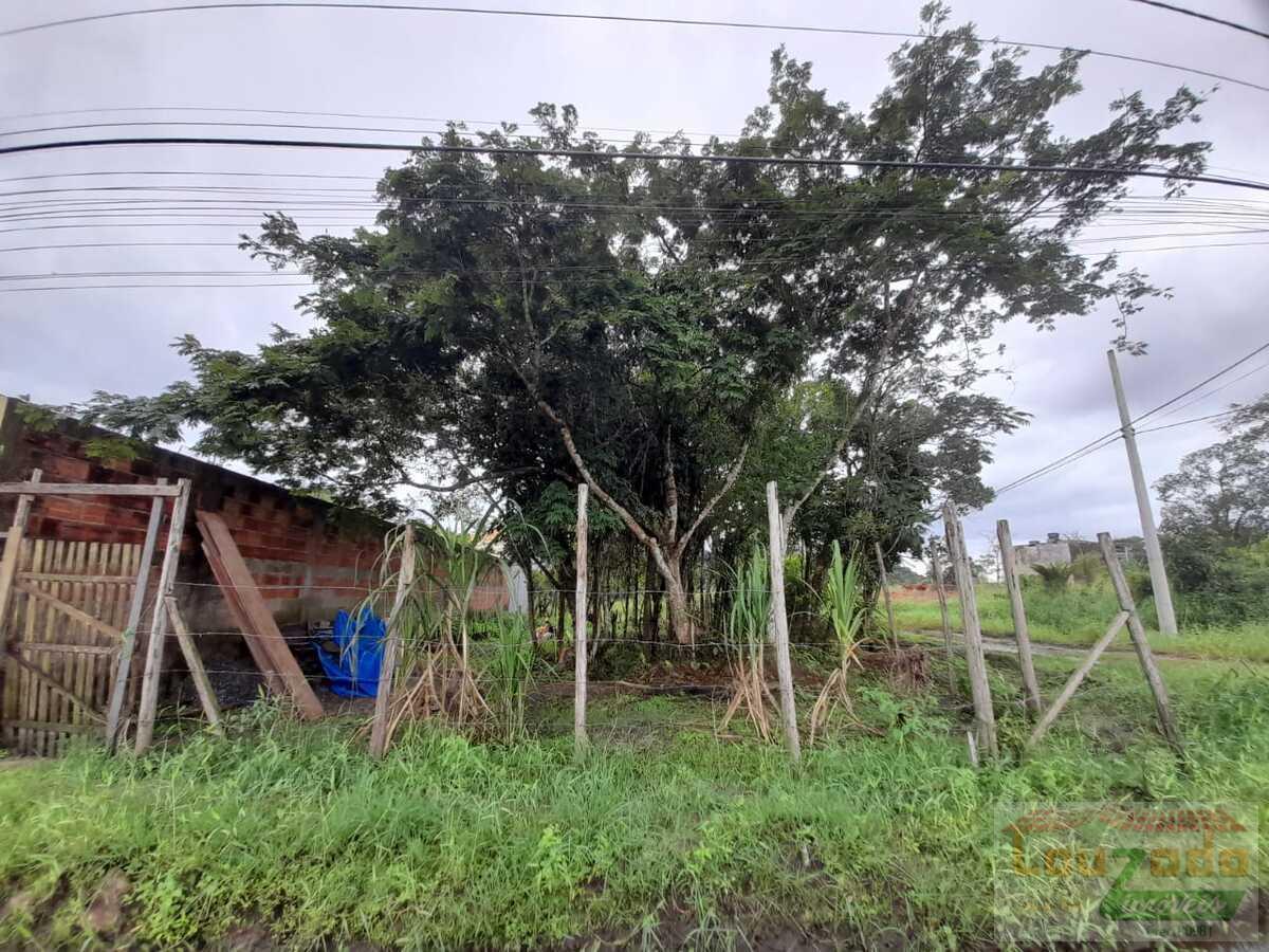 Terreno, 300 m² - Foto 4