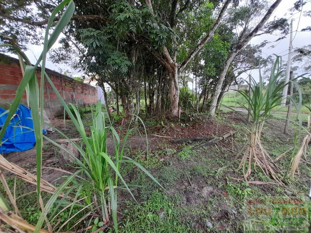 Terreno, 300 m² - Foto 1