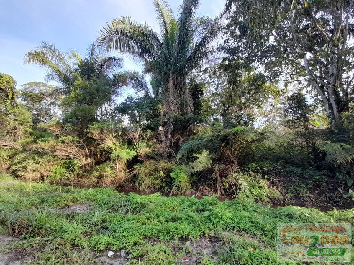 Terreno, 360 m² - Foto 2