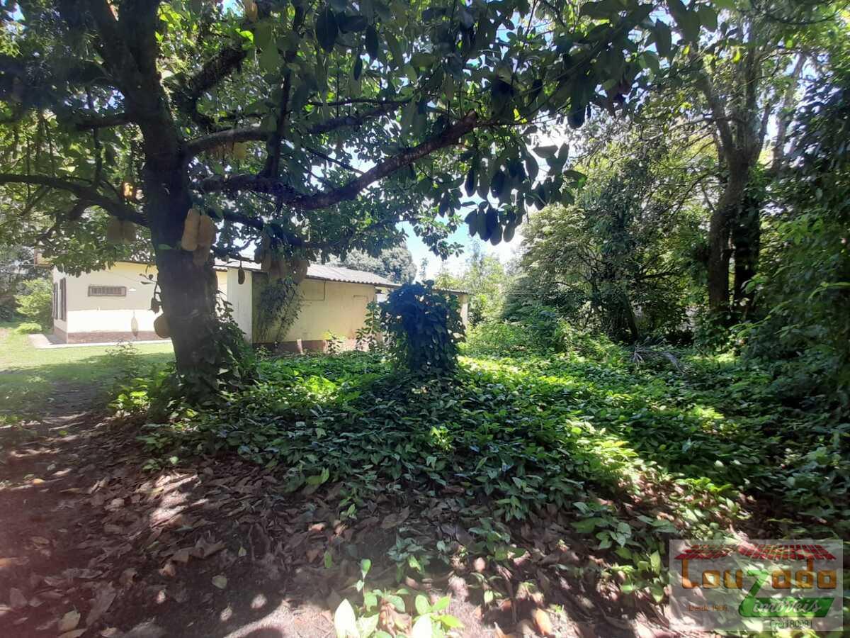 Terreno, 1200 m² - Foto 5