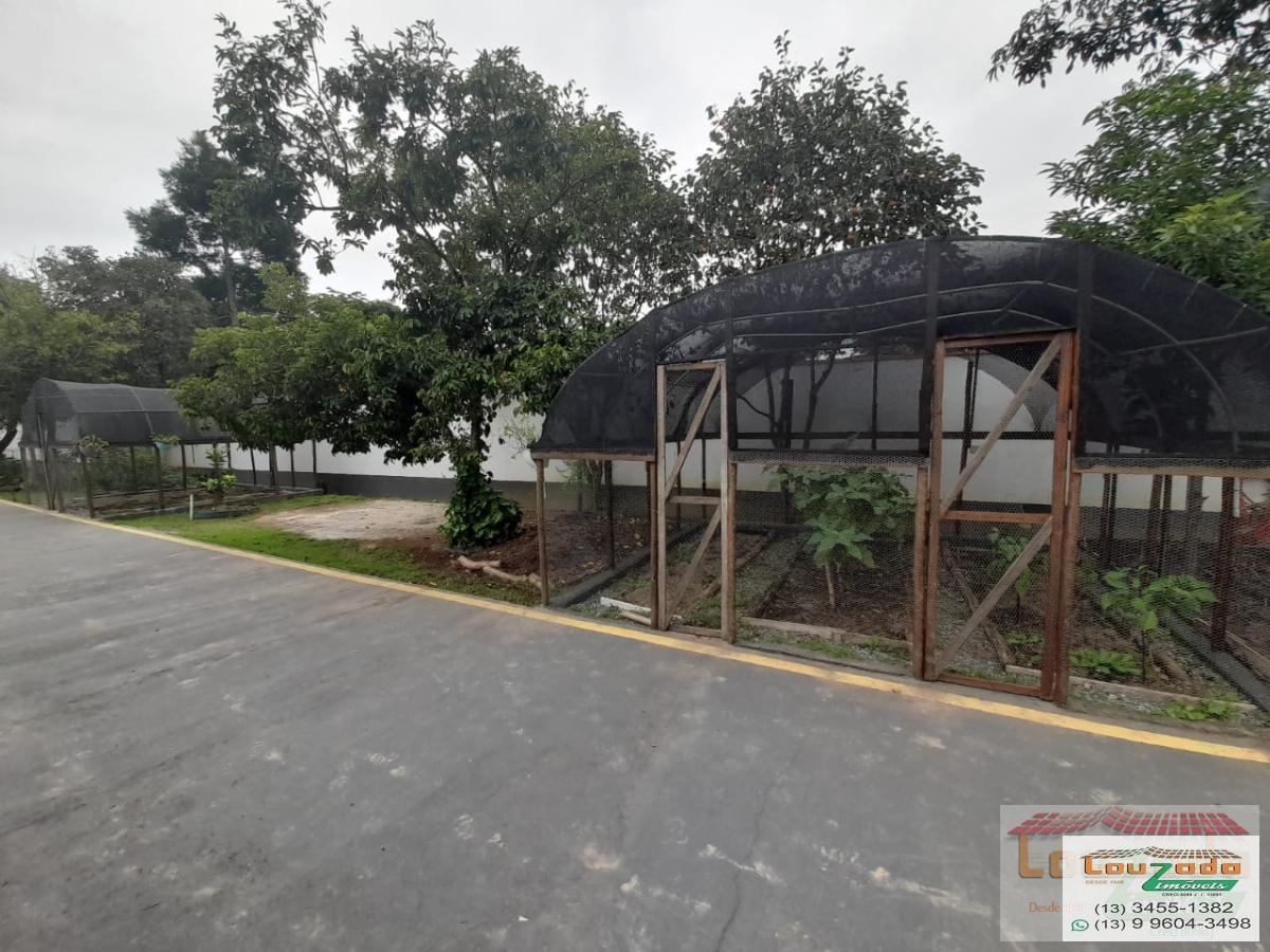 Chácara, 4 quartos, 3990 m² - Foto 24