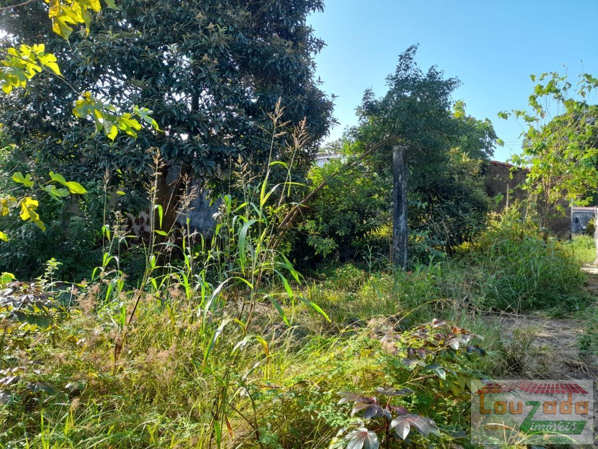 Terreno, 300 m² - Foto 2