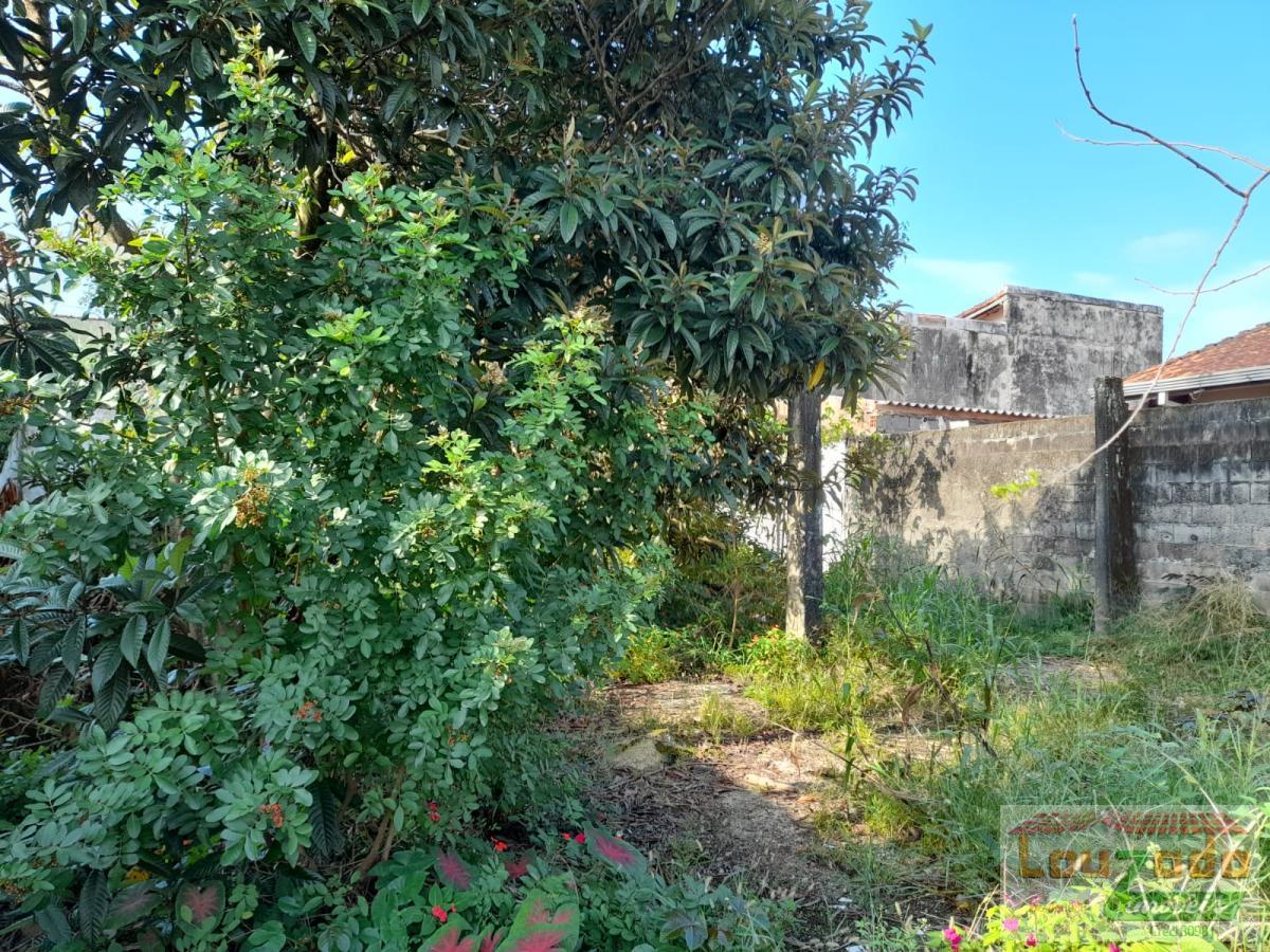 Terreno, 300 m² - Foto 3