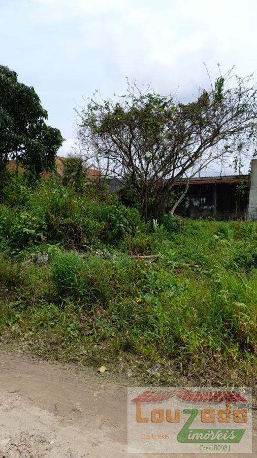 Terreno, 300 m² - Foto 3