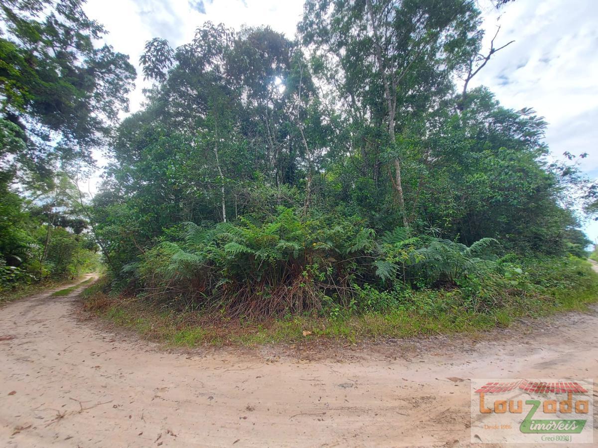 Terreno, 1000 m² - Foto 4