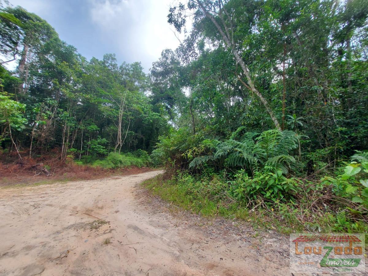 Terreno, 1000 m² - Foto 3