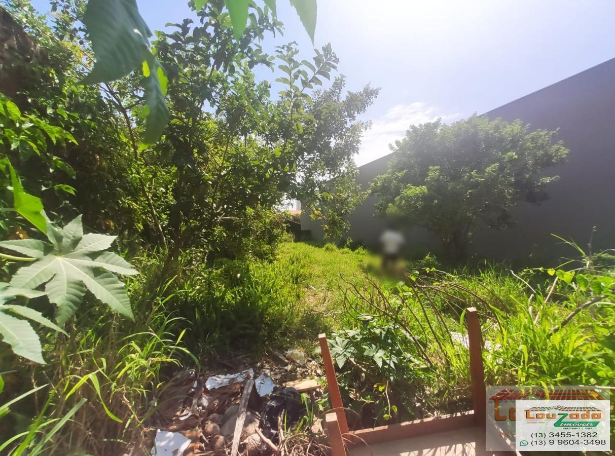 Terreno, 555 m² - Foto 2