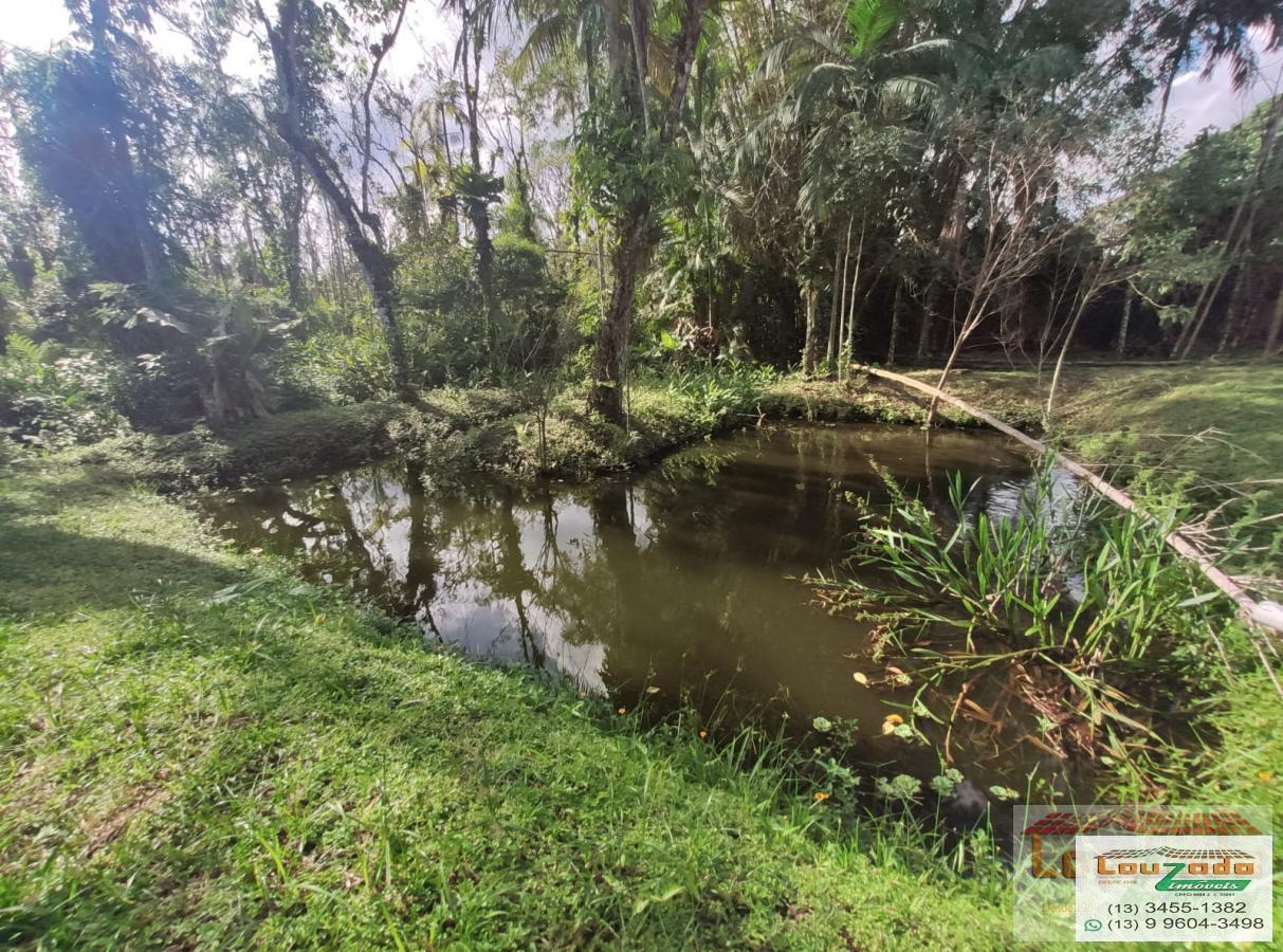 Chácara, 4 quartos, 5600 m² - Foto 29