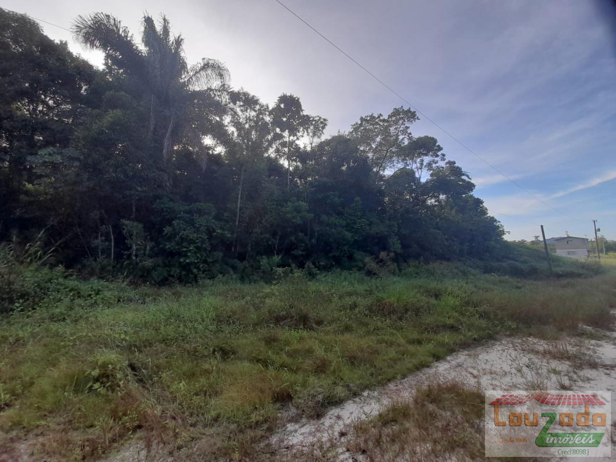 Terreno, 6050 m² - Foto 3