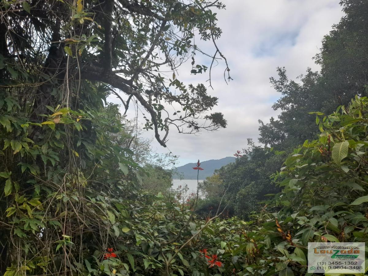 Terreno, 546 m² - Foto 13