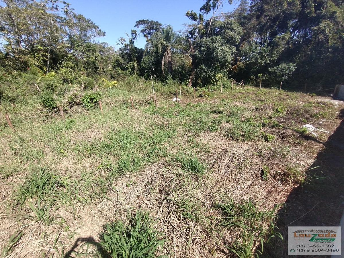 Terreno, 250 m² - Foto 3