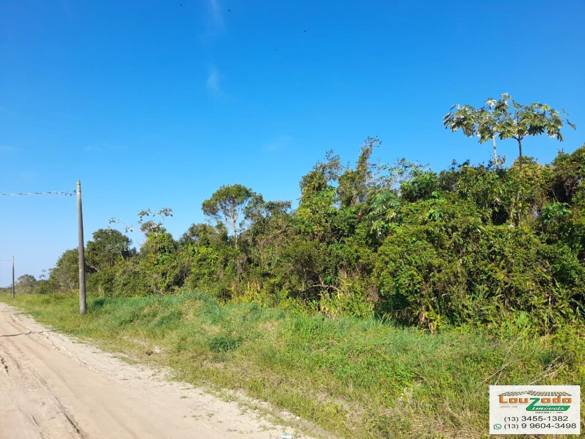 Terreno, 250 m² - Foto 2