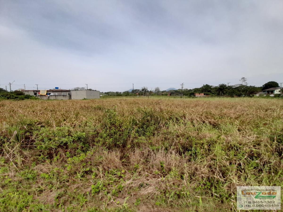 Terreno, 250 m² - Foto 4