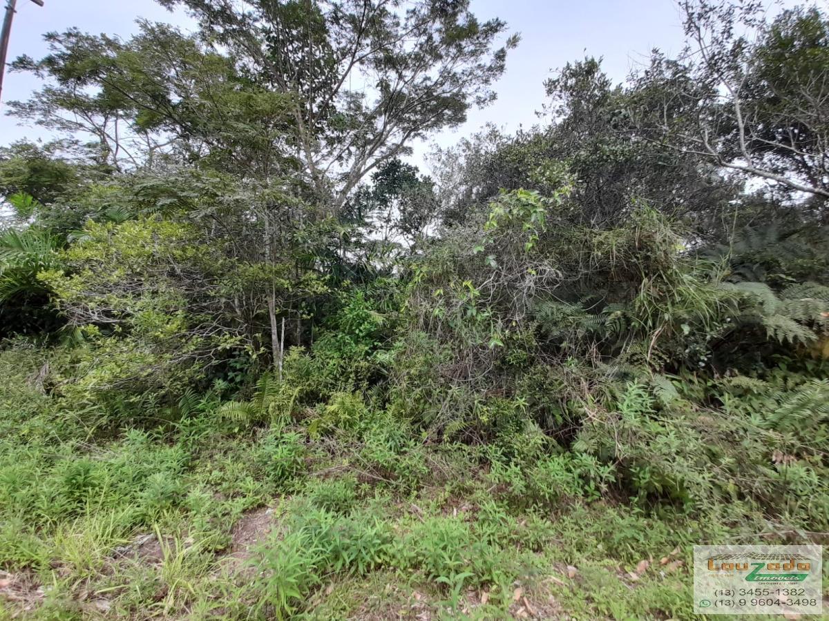 Terreno, 250 m² - Foto 1
