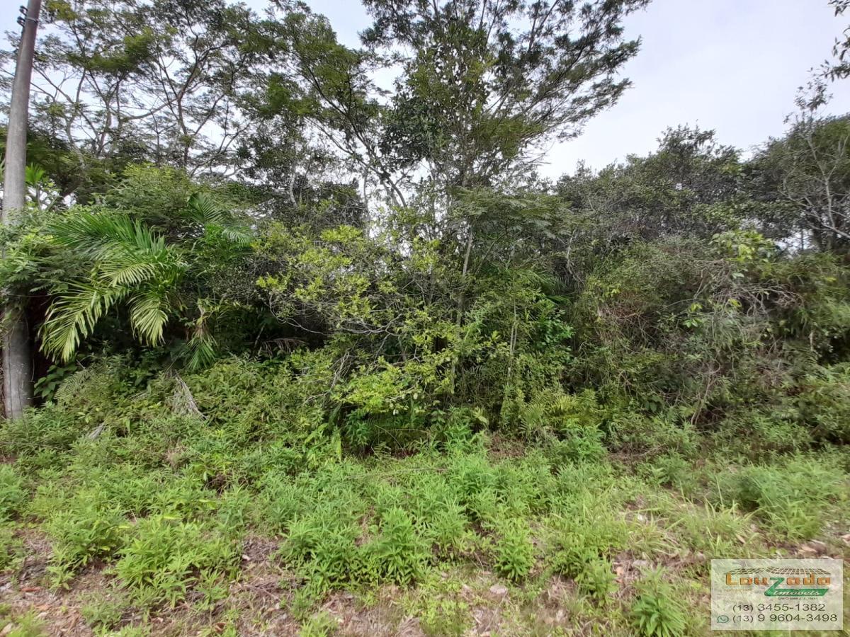 Terreno, 250 m² - Foto 2