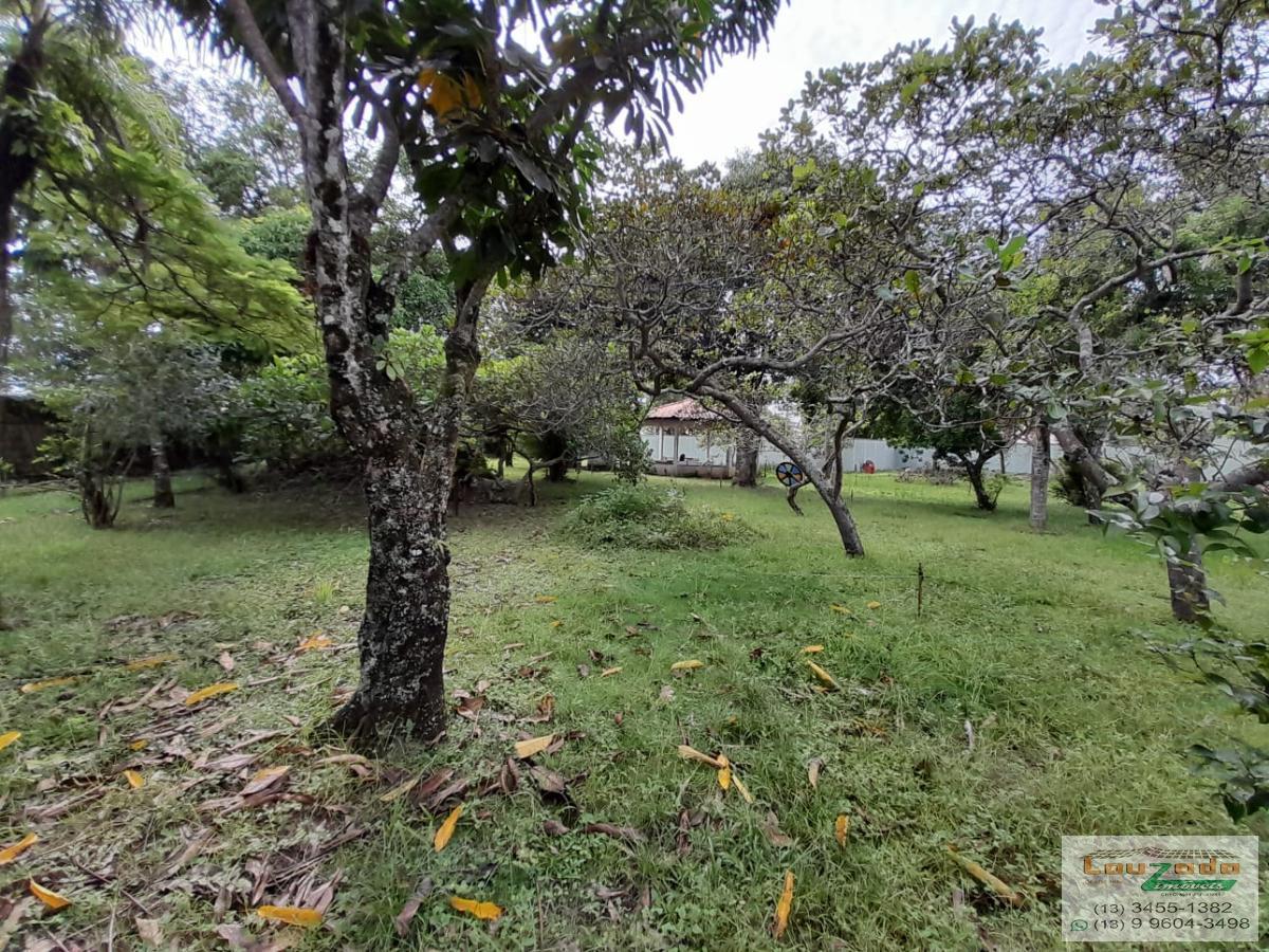 Terreno, 250 m² - Foto 3