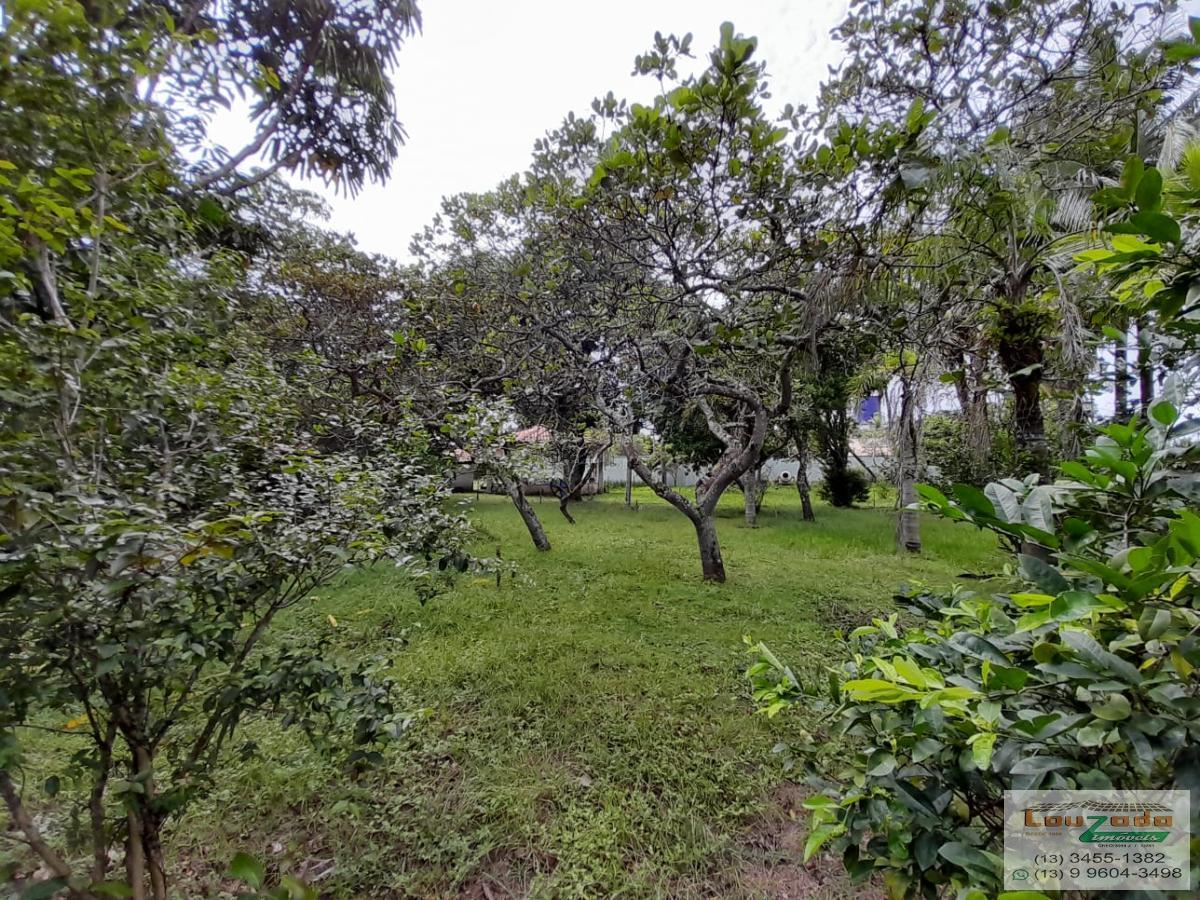 Terreno, 302 m² - Foto 1