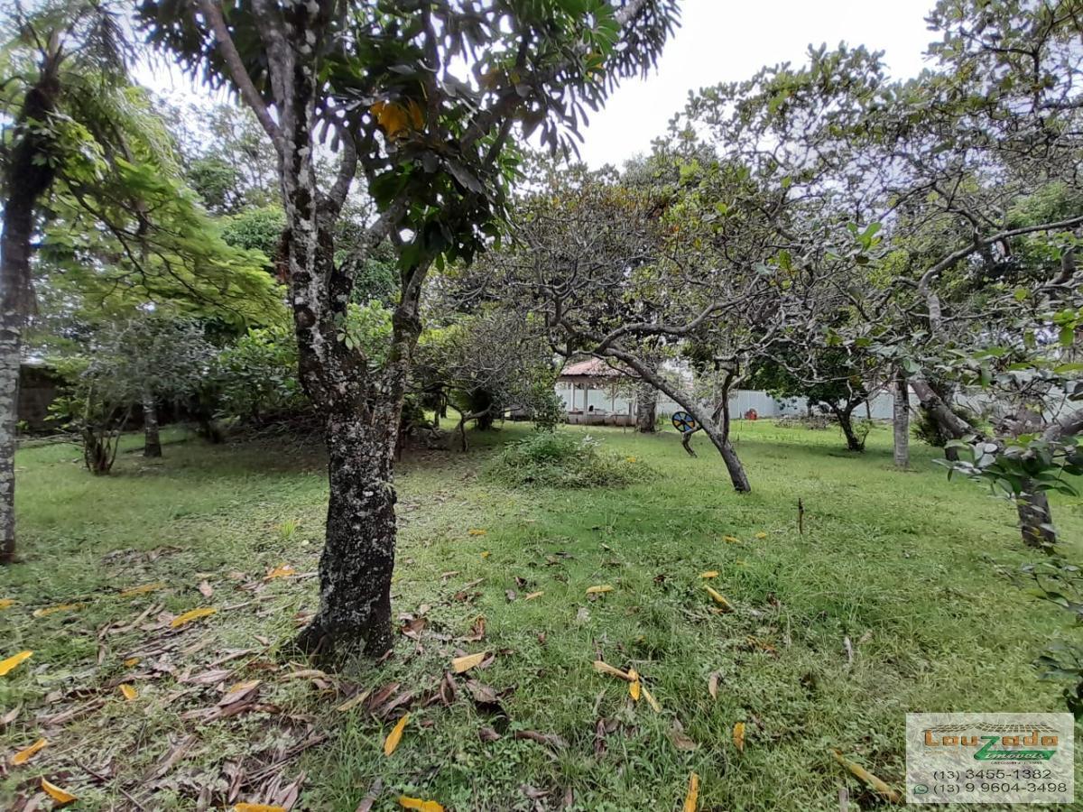 Terreno, 250 m² - Foto 5