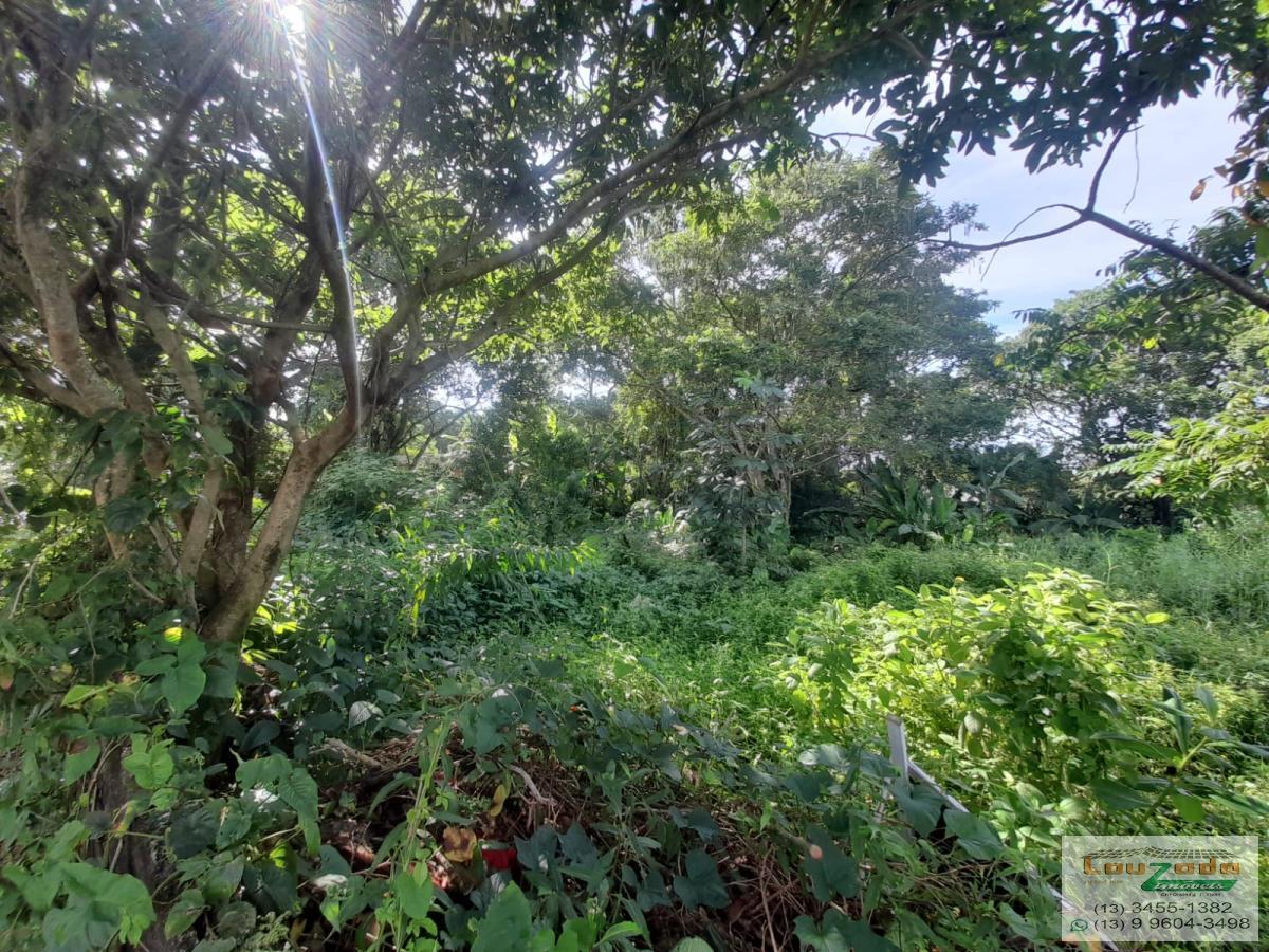 Terreno, 360 m² - Foto 2