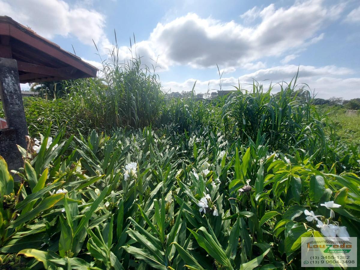 Terreno, 1020 m² - Foto 6