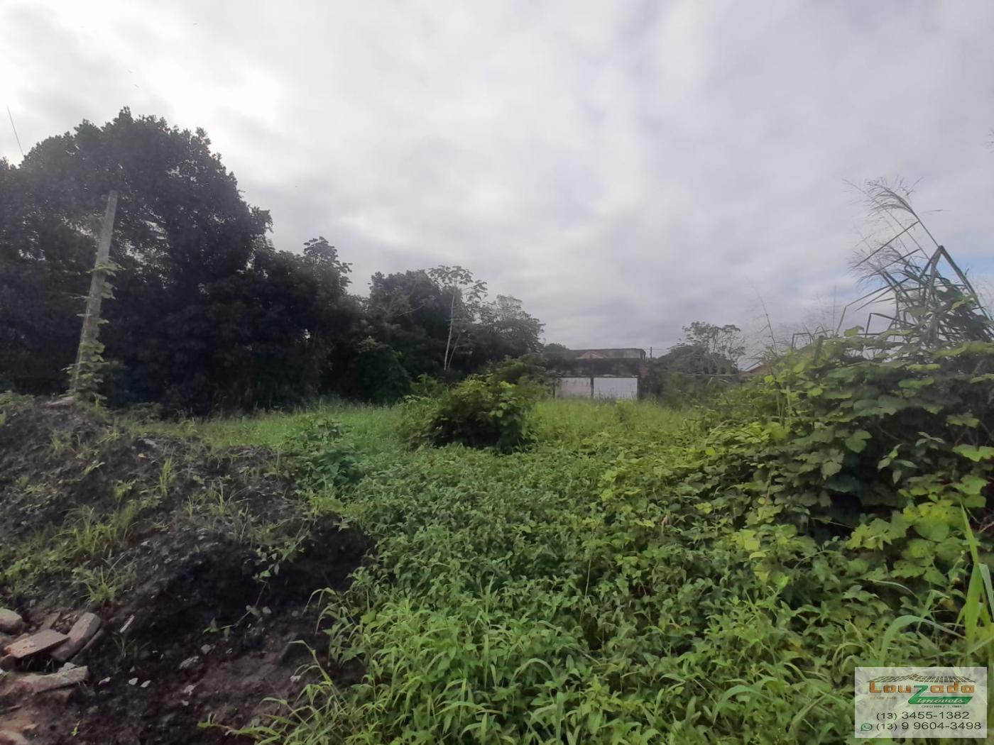 Terreno, 250 m² - Foto 3