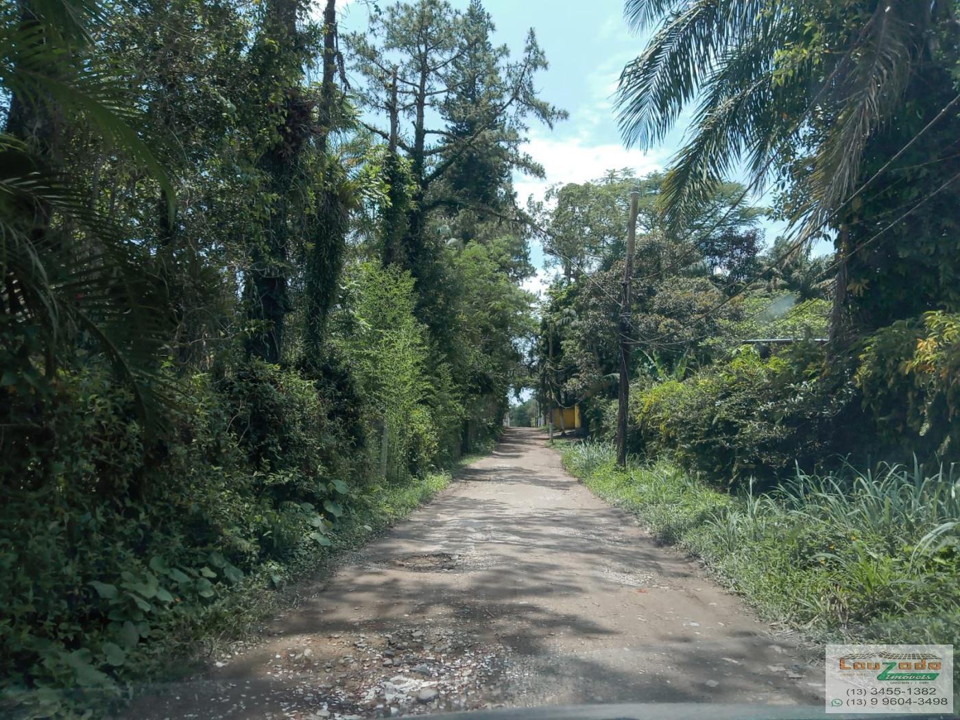 Chácara, 3 quartos, 5560 m² - Foto 23