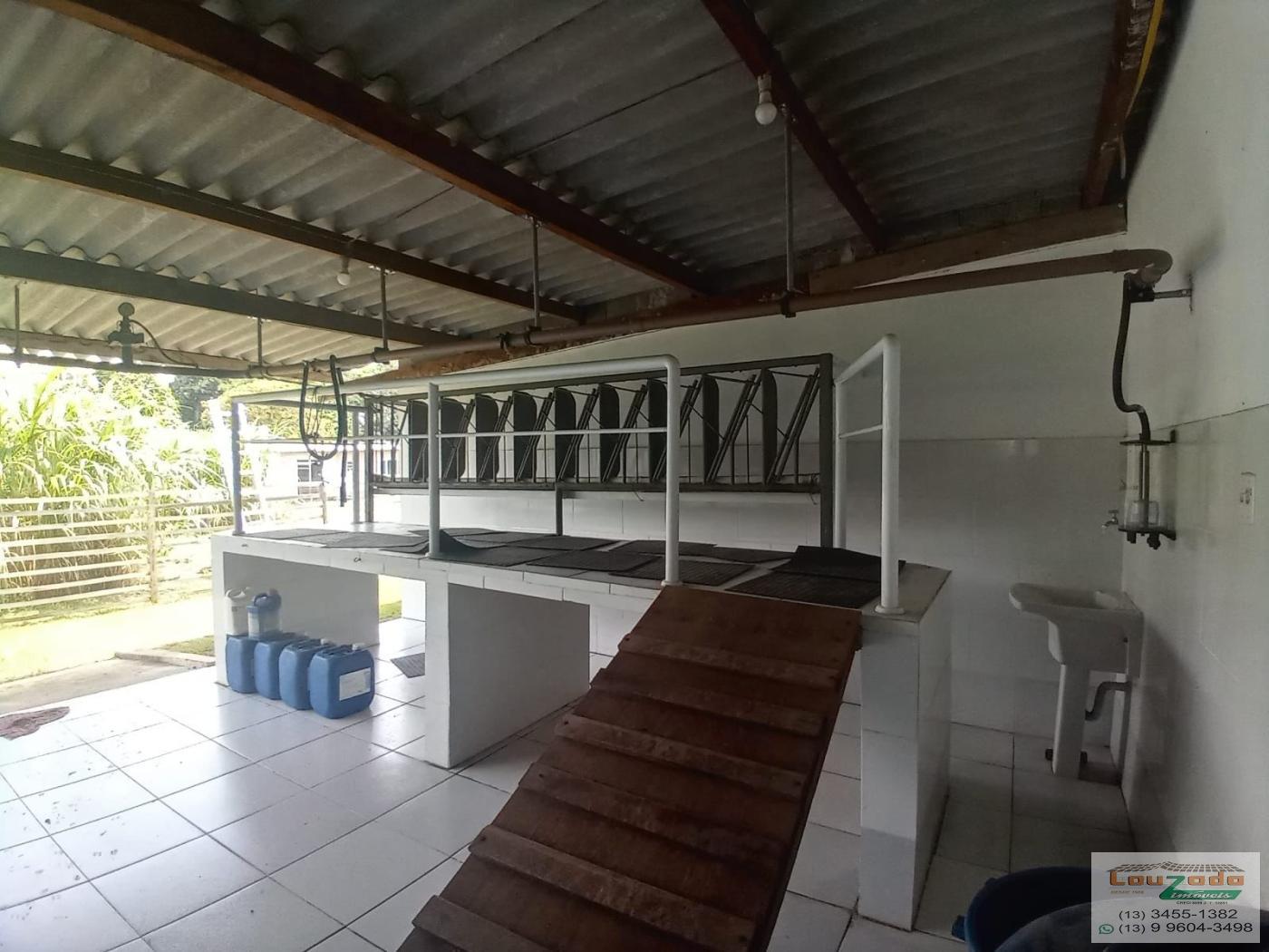 Chácara, 3 quartos, 5560 m² - Foto 14