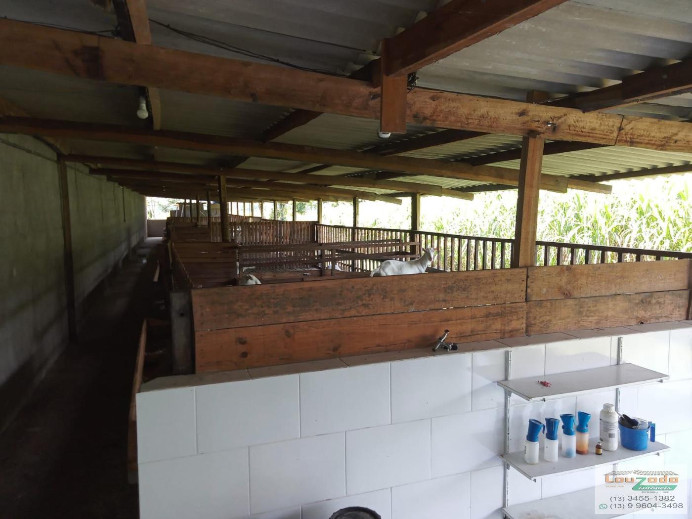 Chácara, 3 quartos, 5560 m² - Foto 16