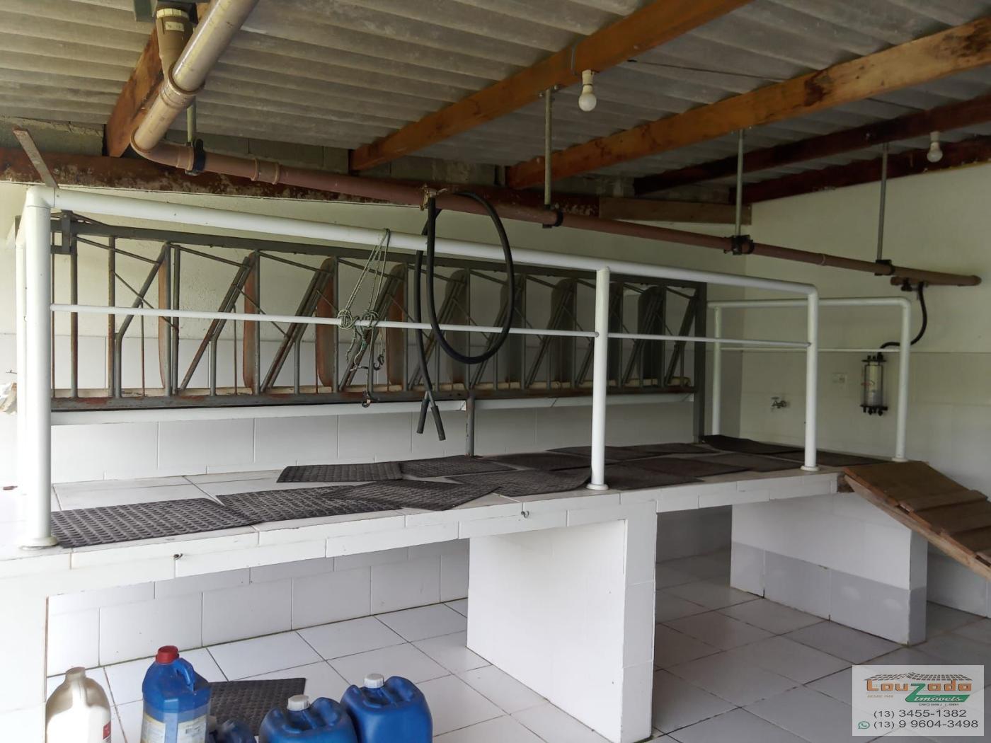 Chácara, 3 quartos, 5560 m² - Foto 15