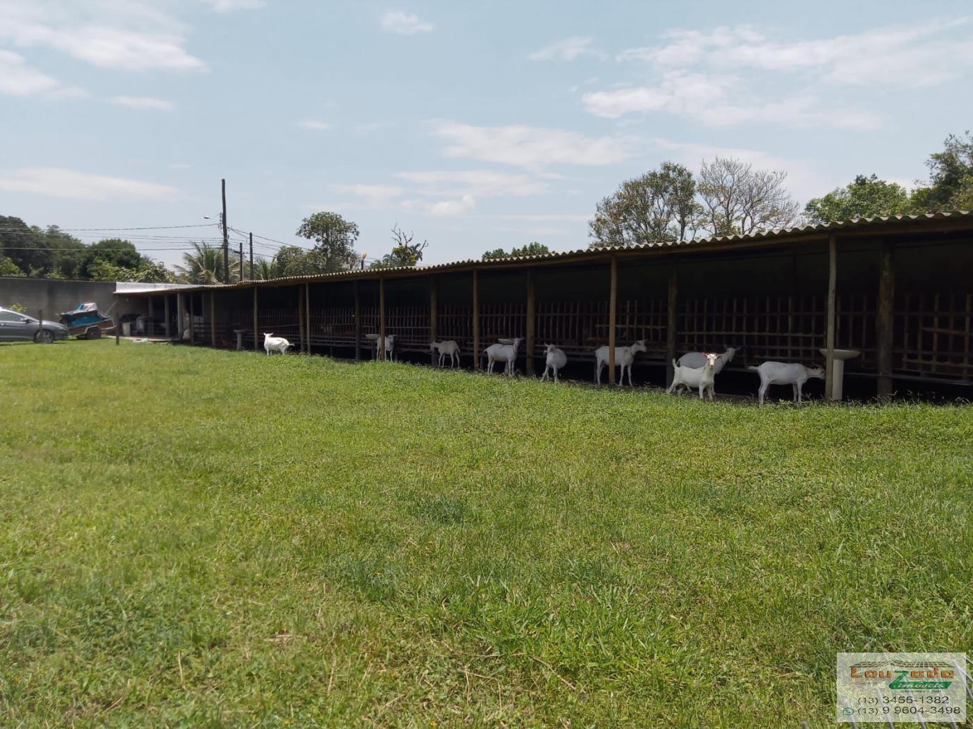 Chácara, 3 quartos, 5560 m² - Foto 8