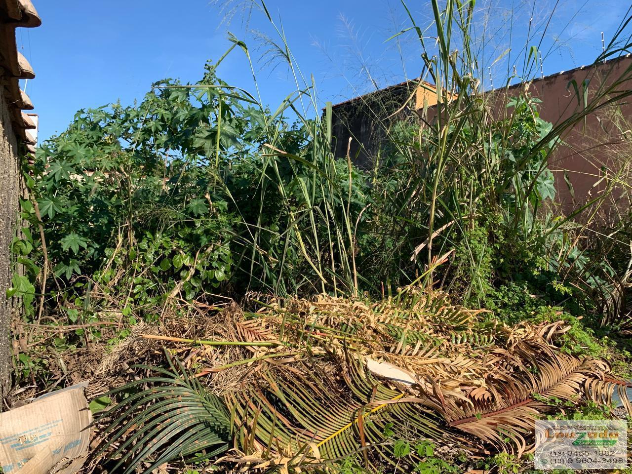 Terreno, 270 m² - Foto 5