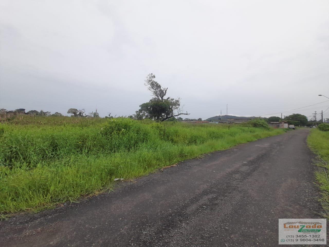 Terreno, 1000 m² - Foto 3