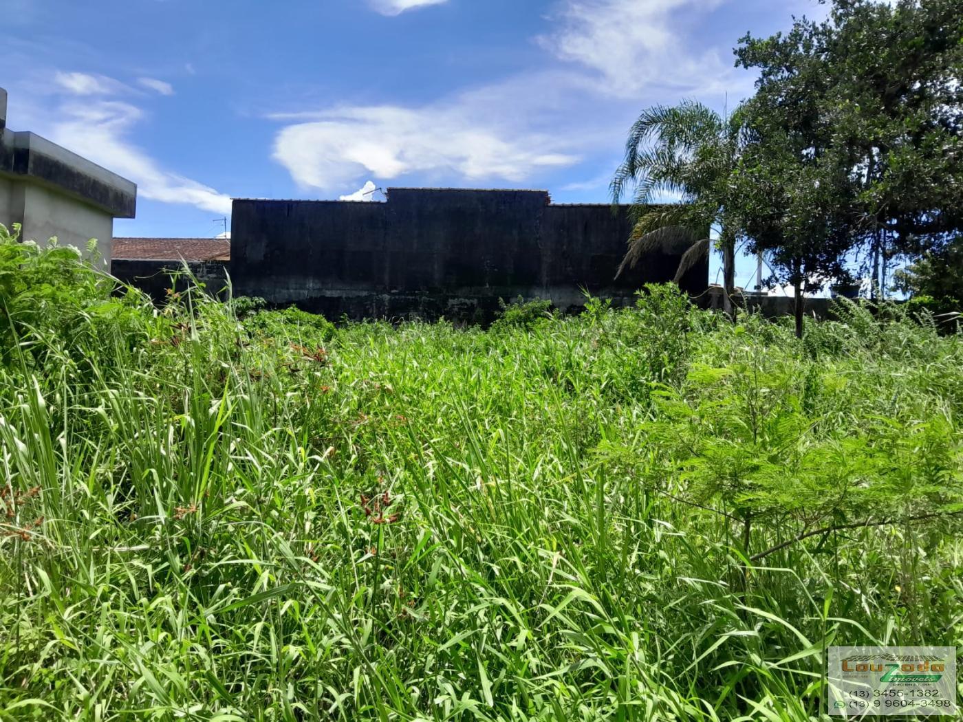 Terreno, 250 m² - Foto 3