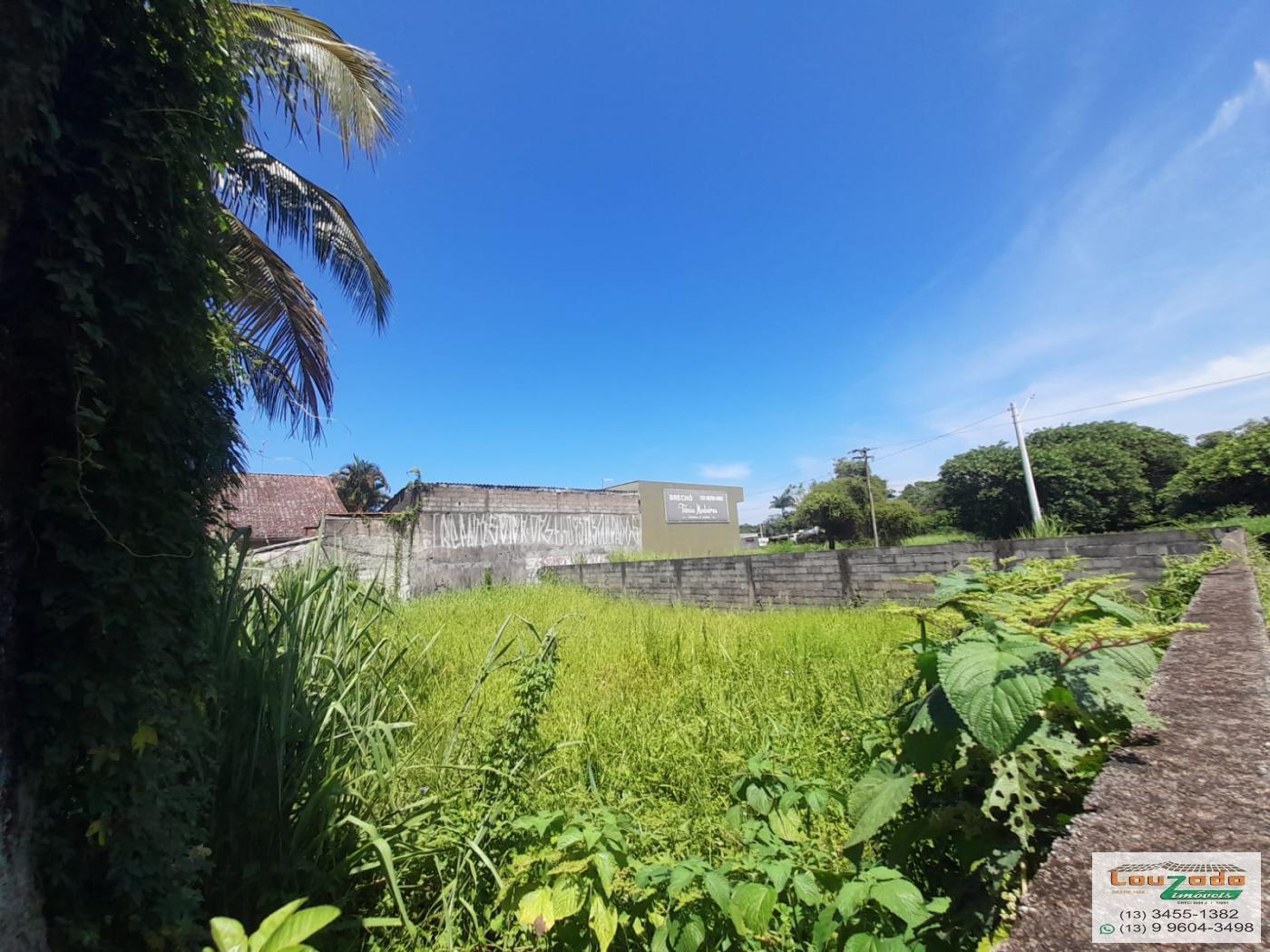 Terreno, 259 m² - Foto 6