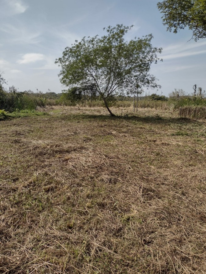 Terreno, 1400 m² - Foto 6