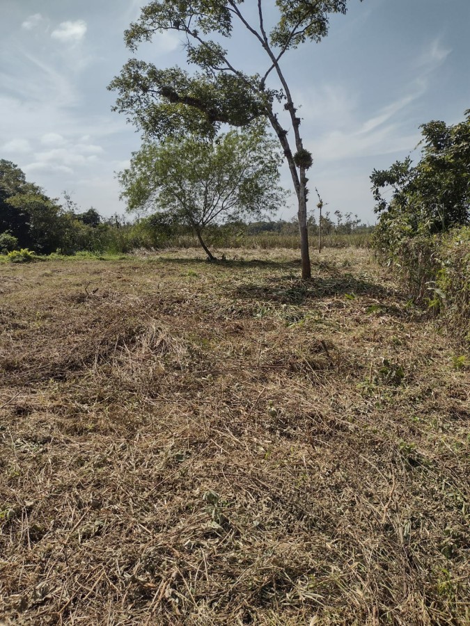 Terreno, 1400 m² - Foto 7