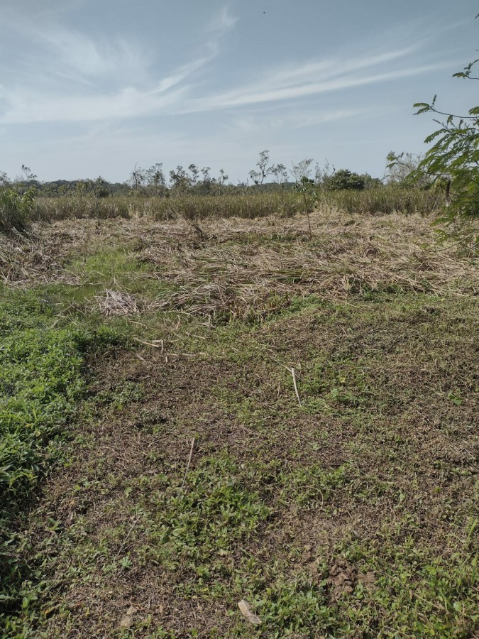 Terreno, 1400 m² - Foto 8