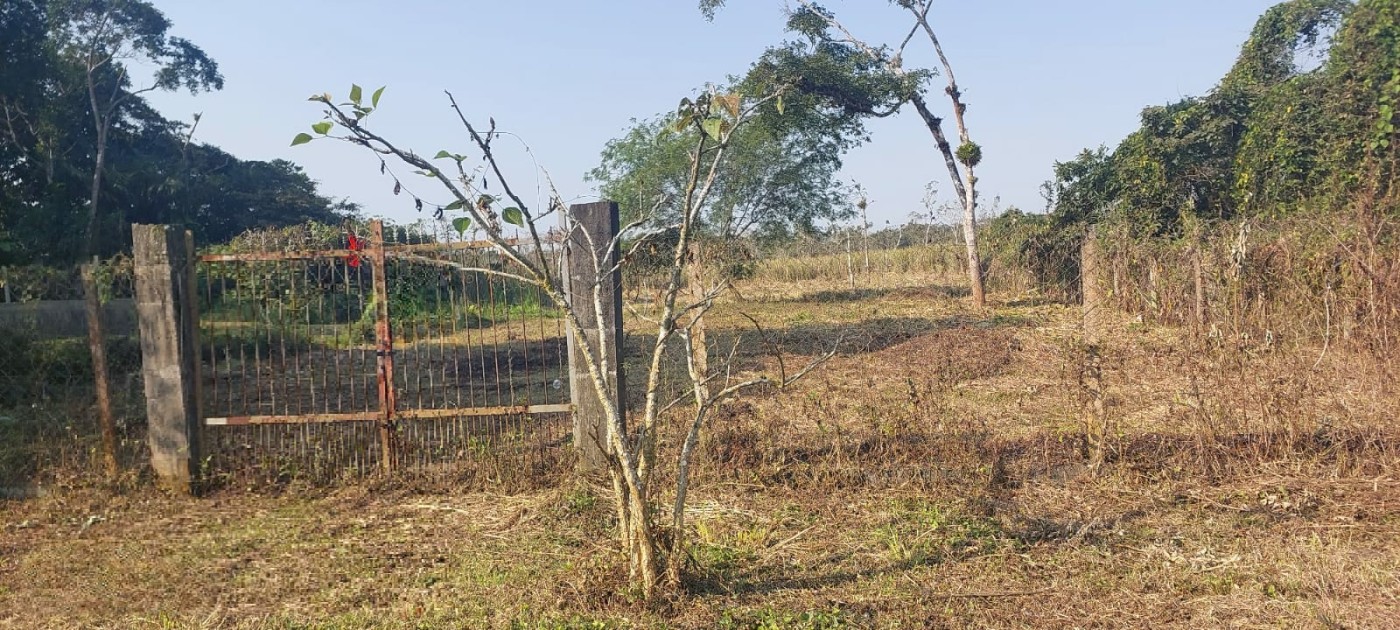 Terreno, 1400 m² - Foto 3