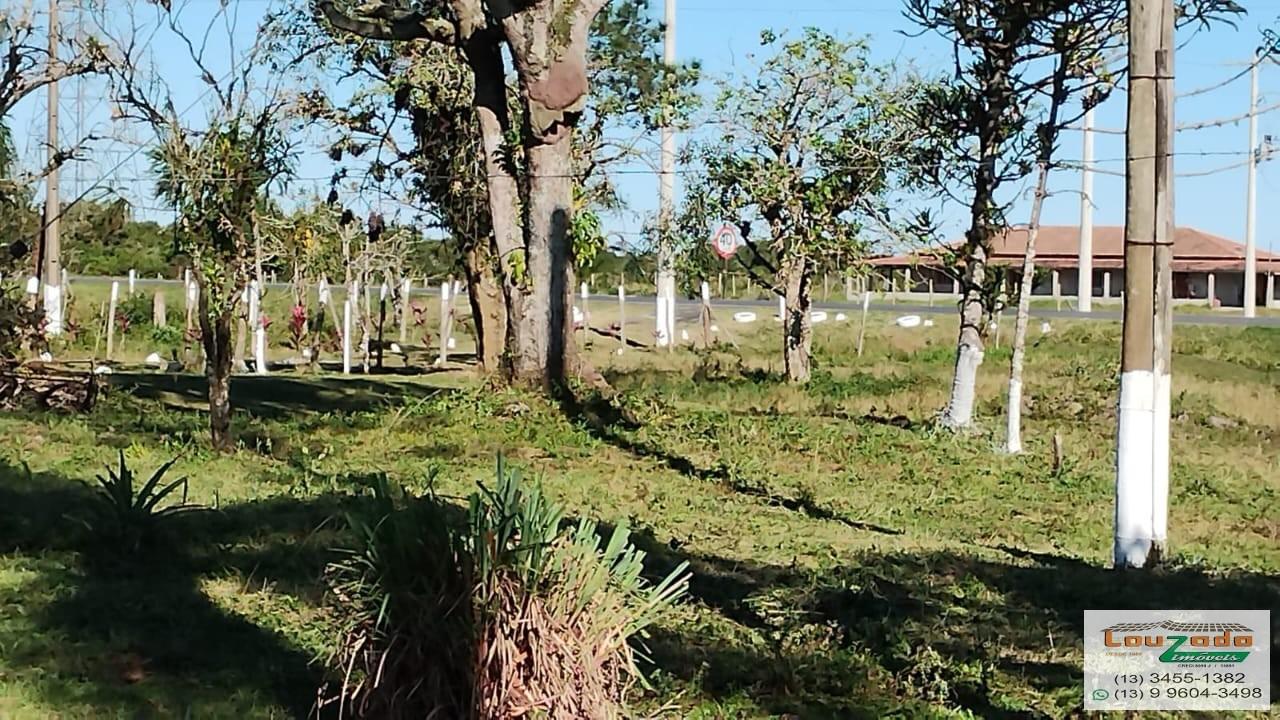 Terreno, 48 hectares - Foto 3