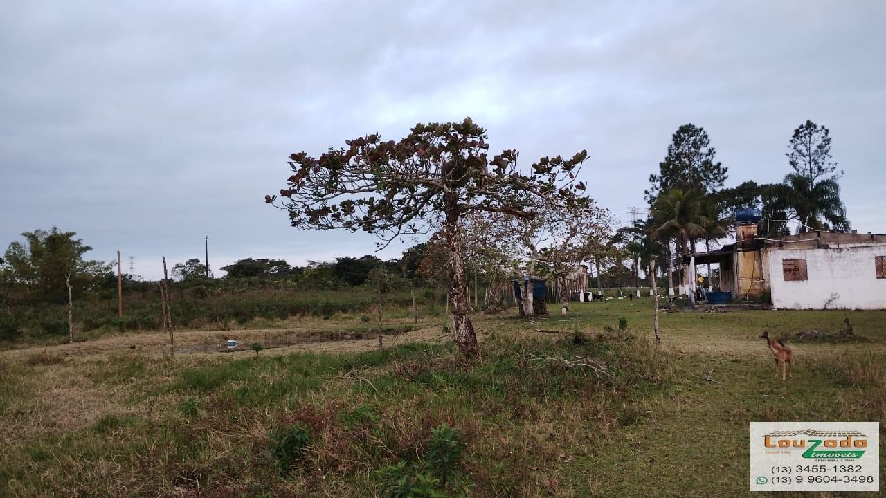 Terreno, 48 hectares - Foto 7