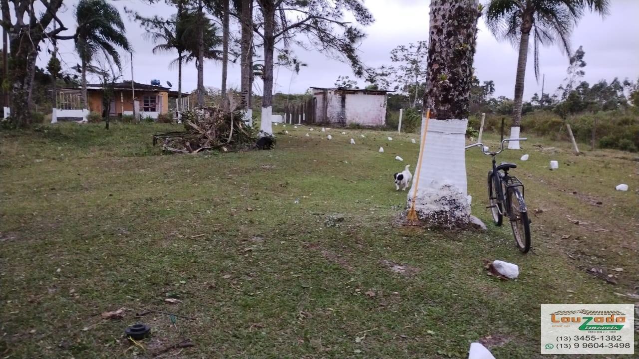 Terreno, 48 hectares - Foto 5