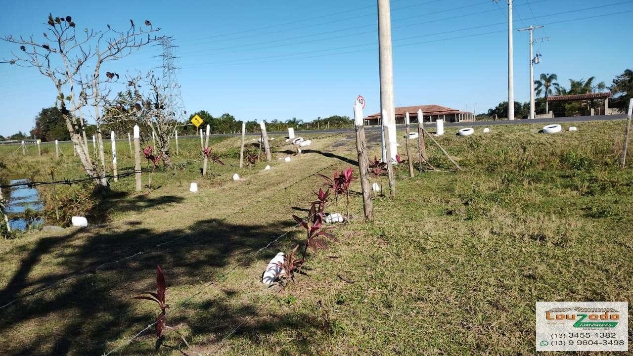 Terreno, 48 hectares - Foto 4