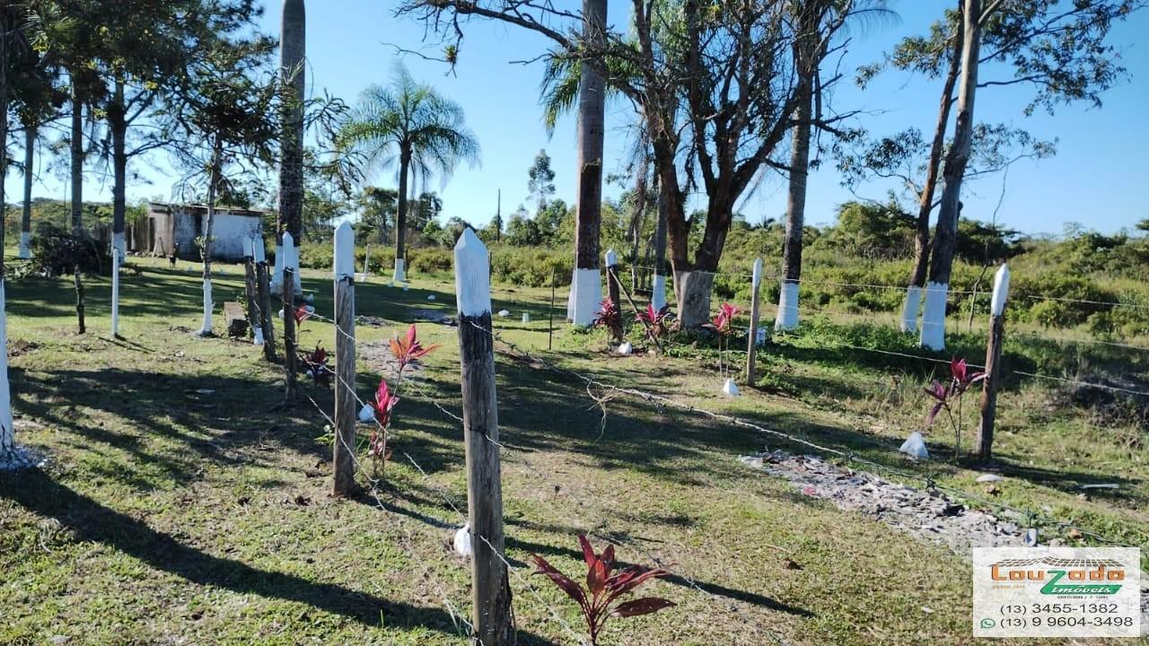 Terreno, 48 hectares - Foto 9