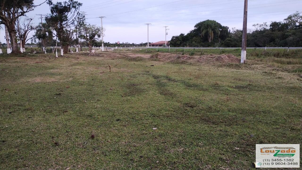 Terreno, 48 hectares - Foto 6